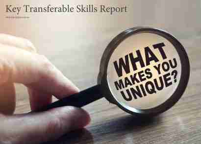 Blu Ripples Key Transferable Skills Report