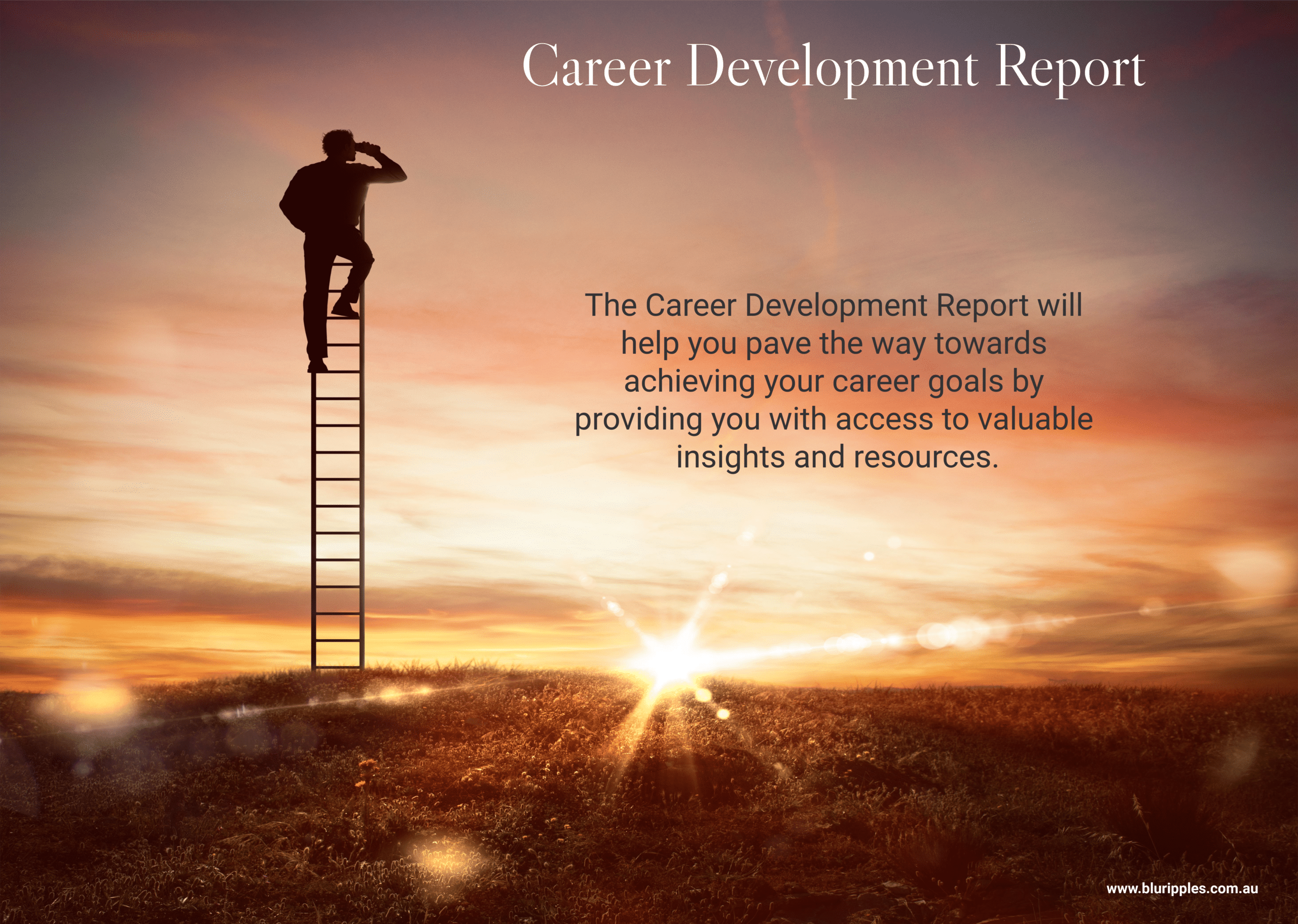 Career Development Report   Since 2009