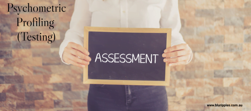 Psychometric Assessment - Providing personal and professional insights to help you make informed decisions. Blu Ripples NSW Australia
