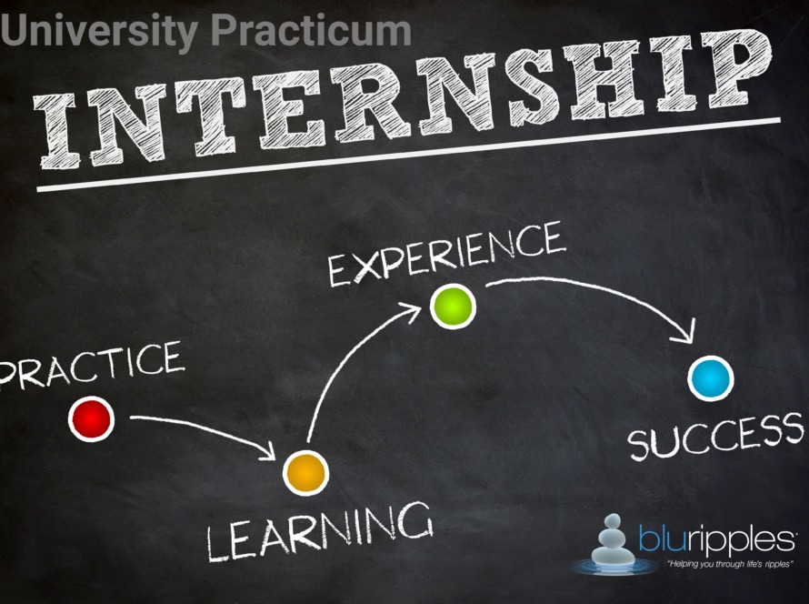 Blu Ripples Career Counselling   Career graphic showing a chalkboard roadmap from Practice and Learning to Experience and Success