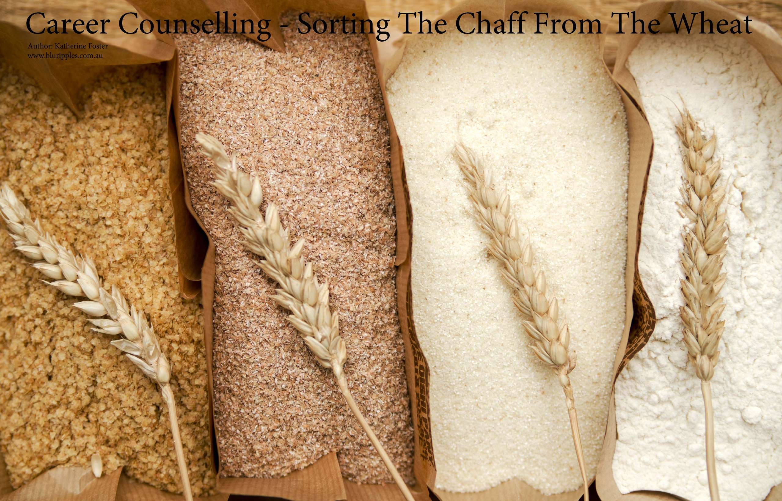 Blu Ripples Career Counselling Blog - Sorting The Chaff From The Wheat; Author Katherine Foster