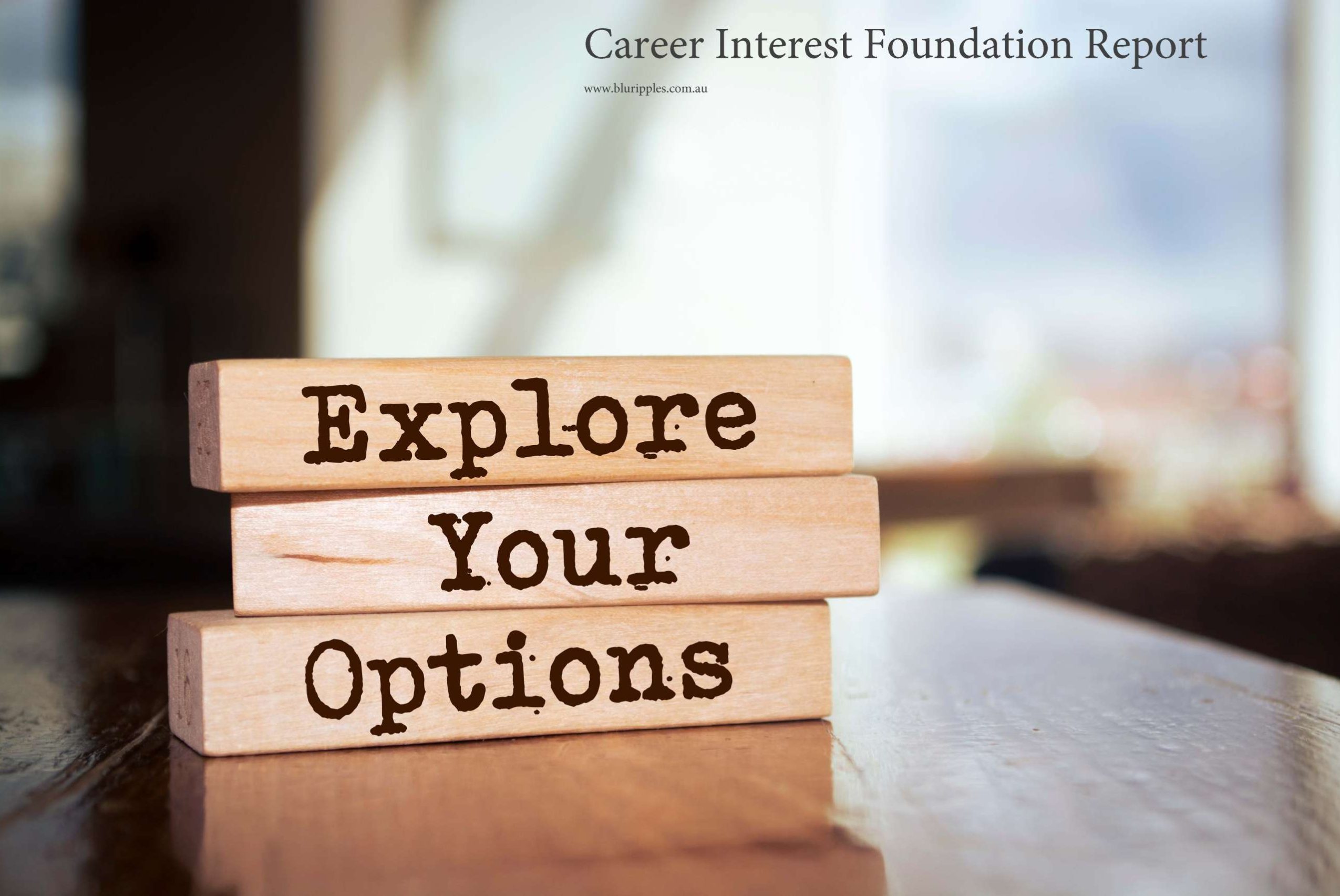 Career Interest Foundation Report - Blu Ripples