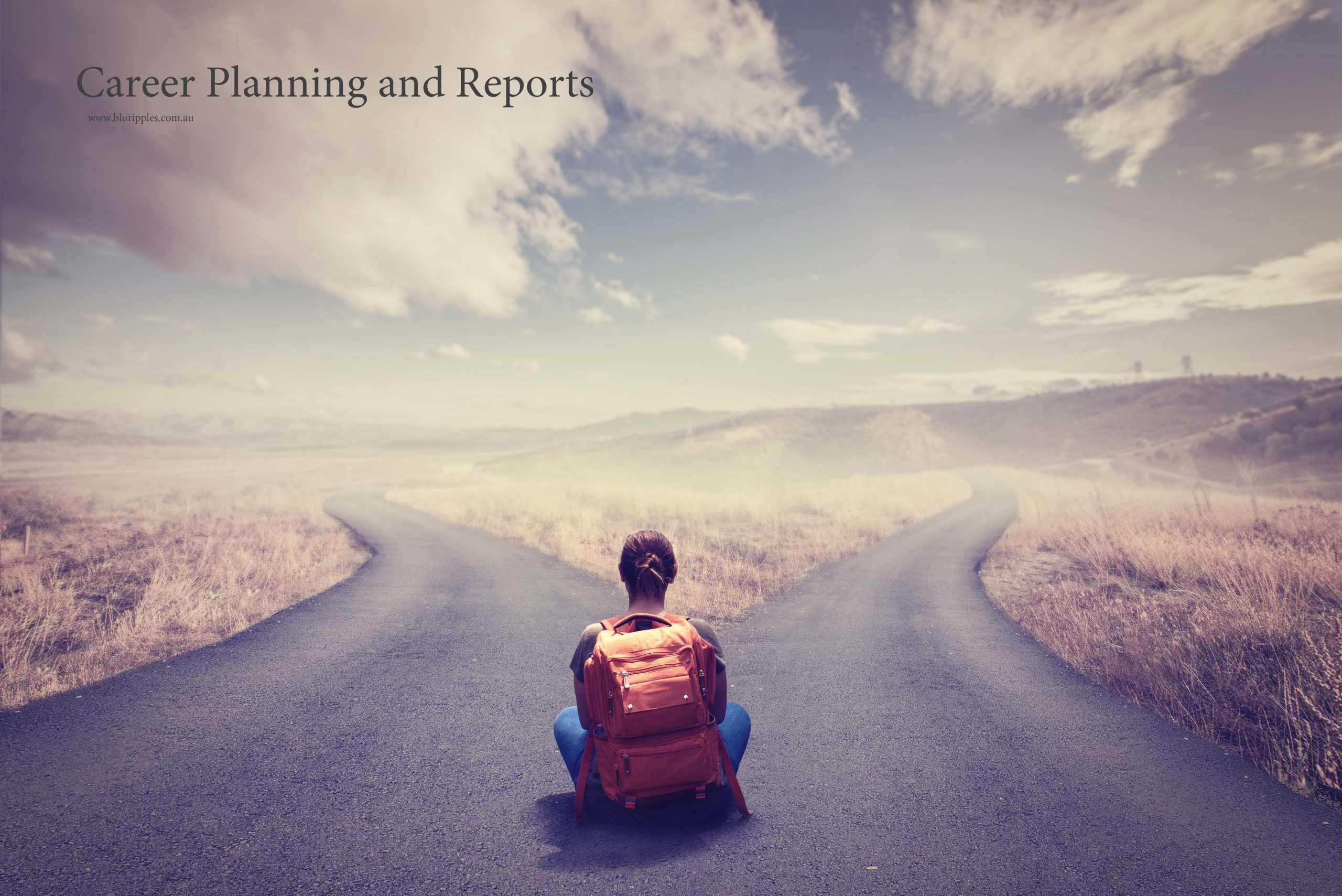 Blu Ripples Career Planning and Report Services