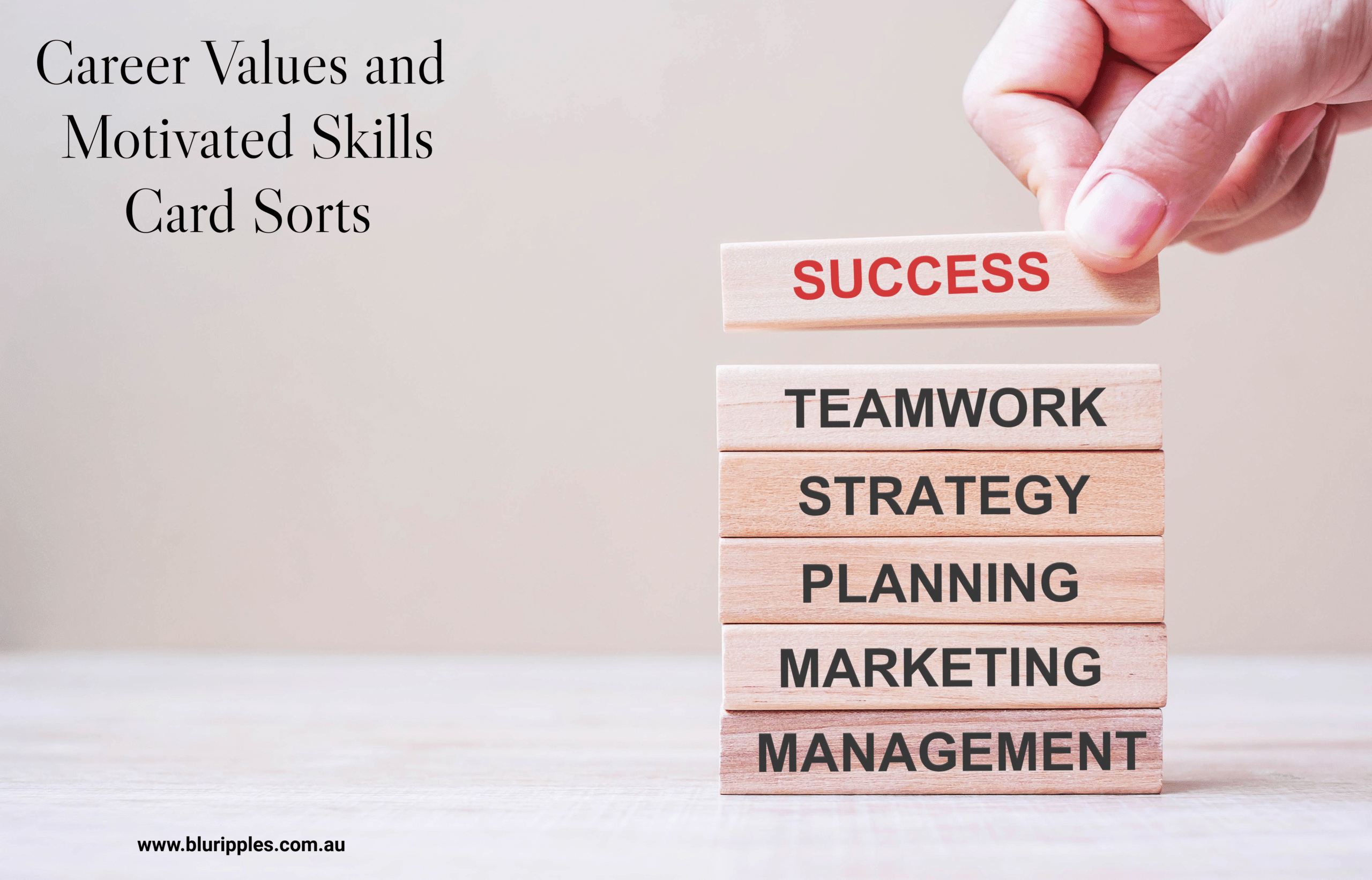 Knowdell Career Values and Knowdell Motivated Skills Card Sorts