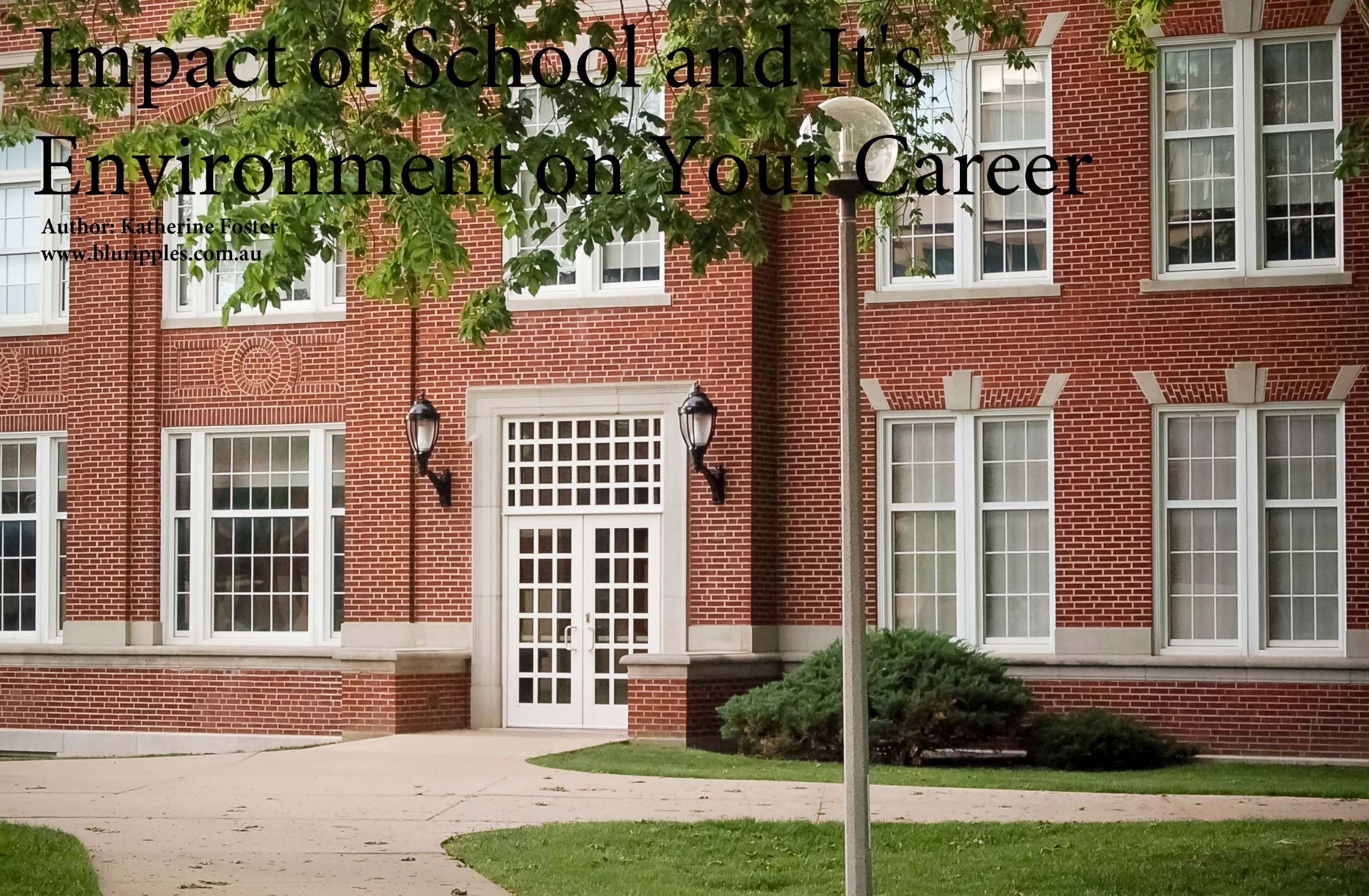 Career Counselling Blog for High School and Secondary College Students: Today we explore the impact school and it's environment has on our career. Author Katherine Foster, Blu Ripples