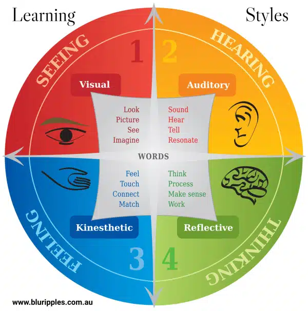 Discover your Learning Style Preferences with Blu RIpples