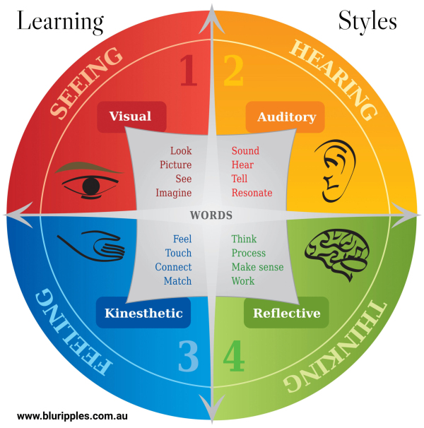 Discover your Learning Style Preferences with Blu RIpples