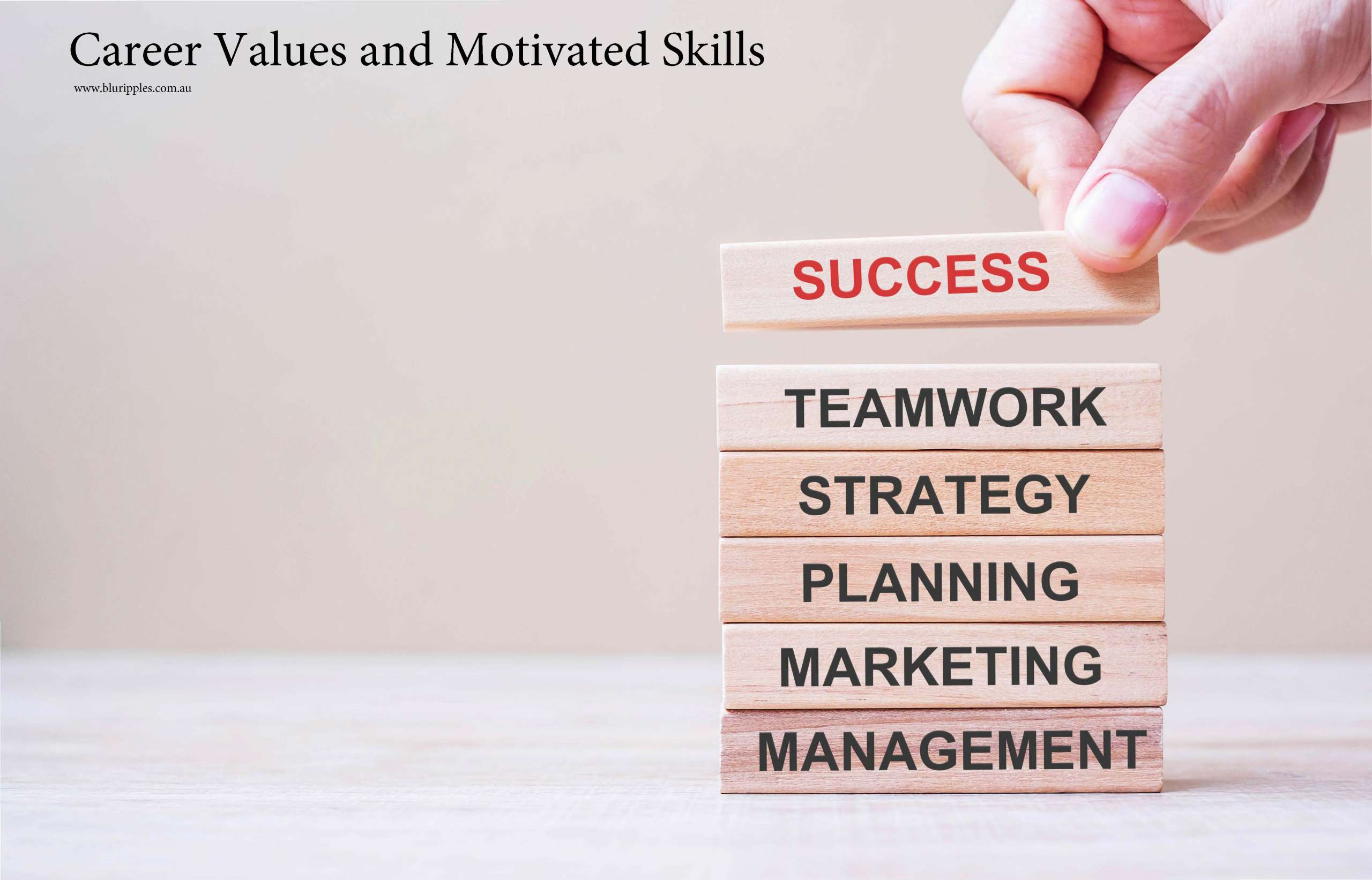 Career Values and Motivated Skills