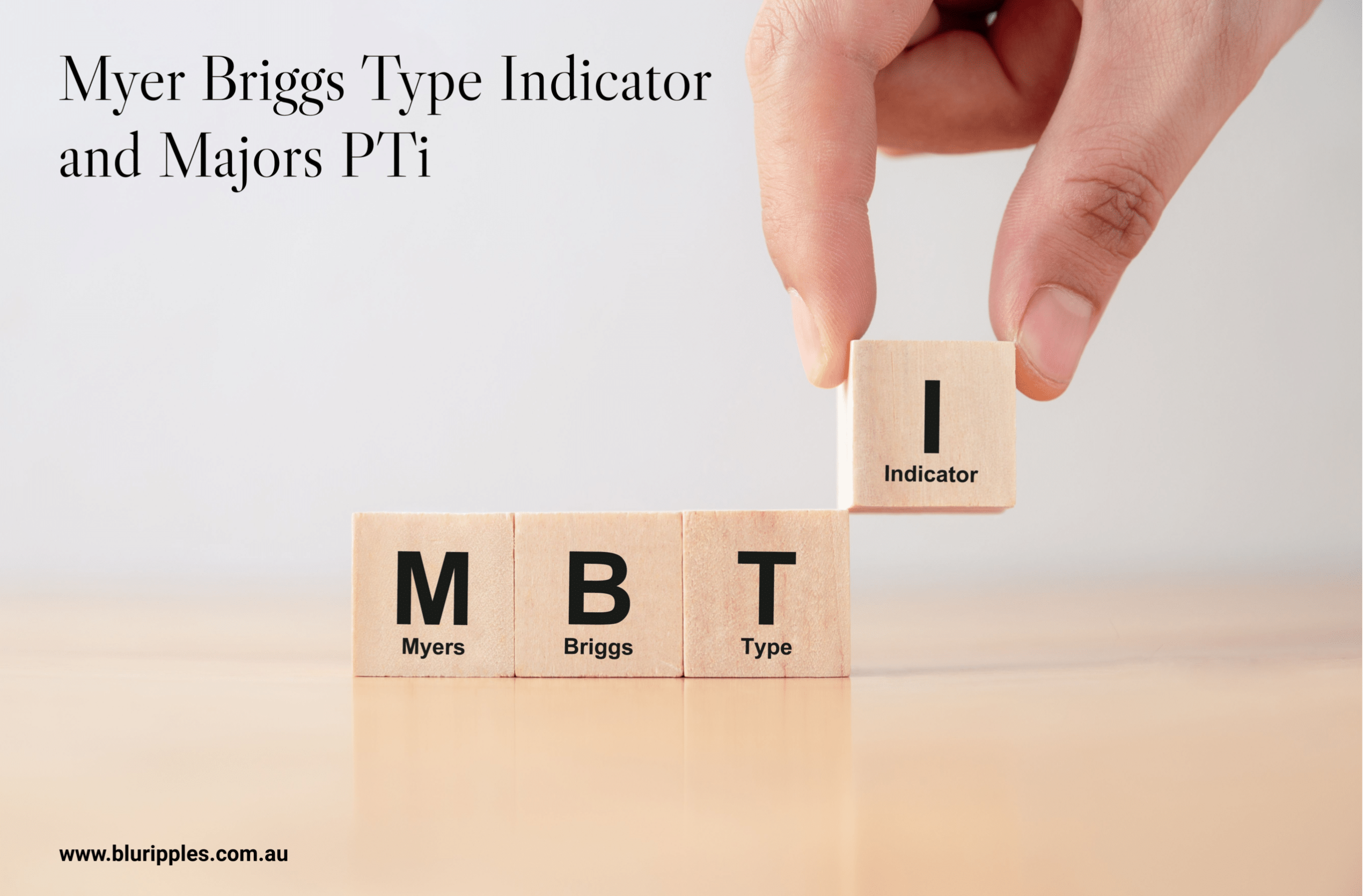 Myer Briggs Type Indicator (MBTI)