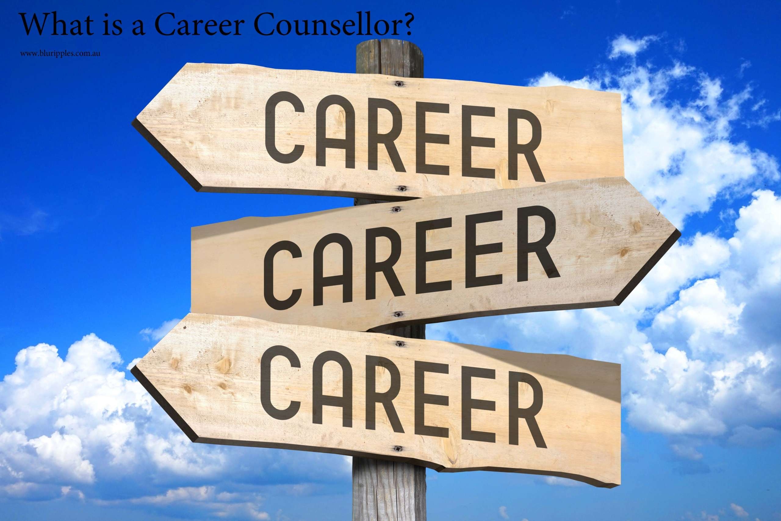 Career Counselling Defined and Job Functions Explained; Blu Ripples Career Counselling Blogs: Author Katherine Foster